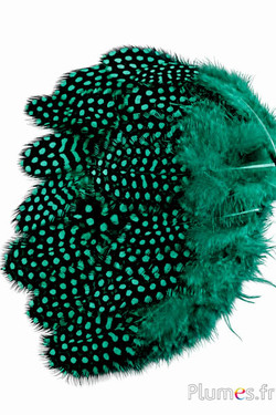 Perlhuhn - 7-13 cm - smaragd